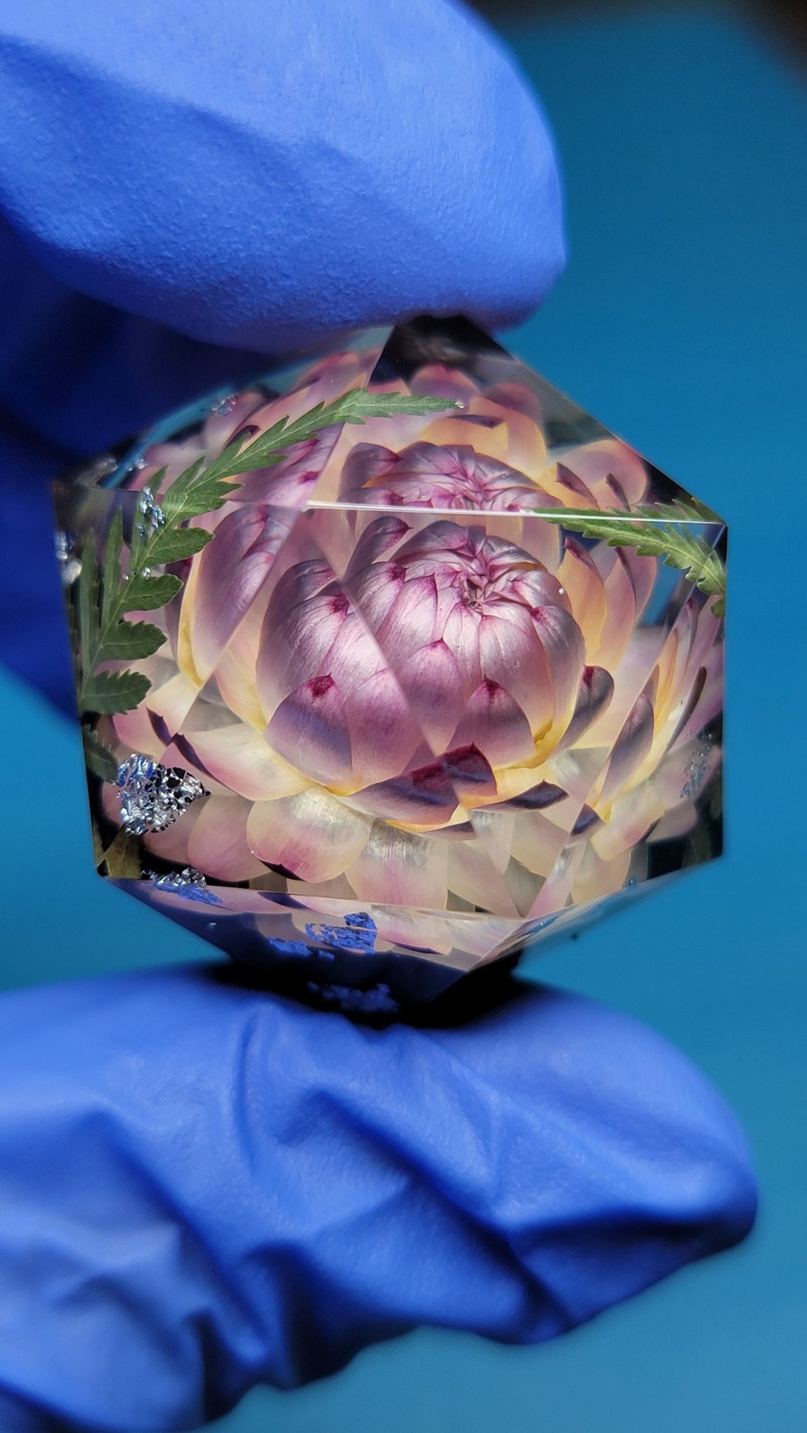 Dice Dumpling (dicedumpling) / Twitter