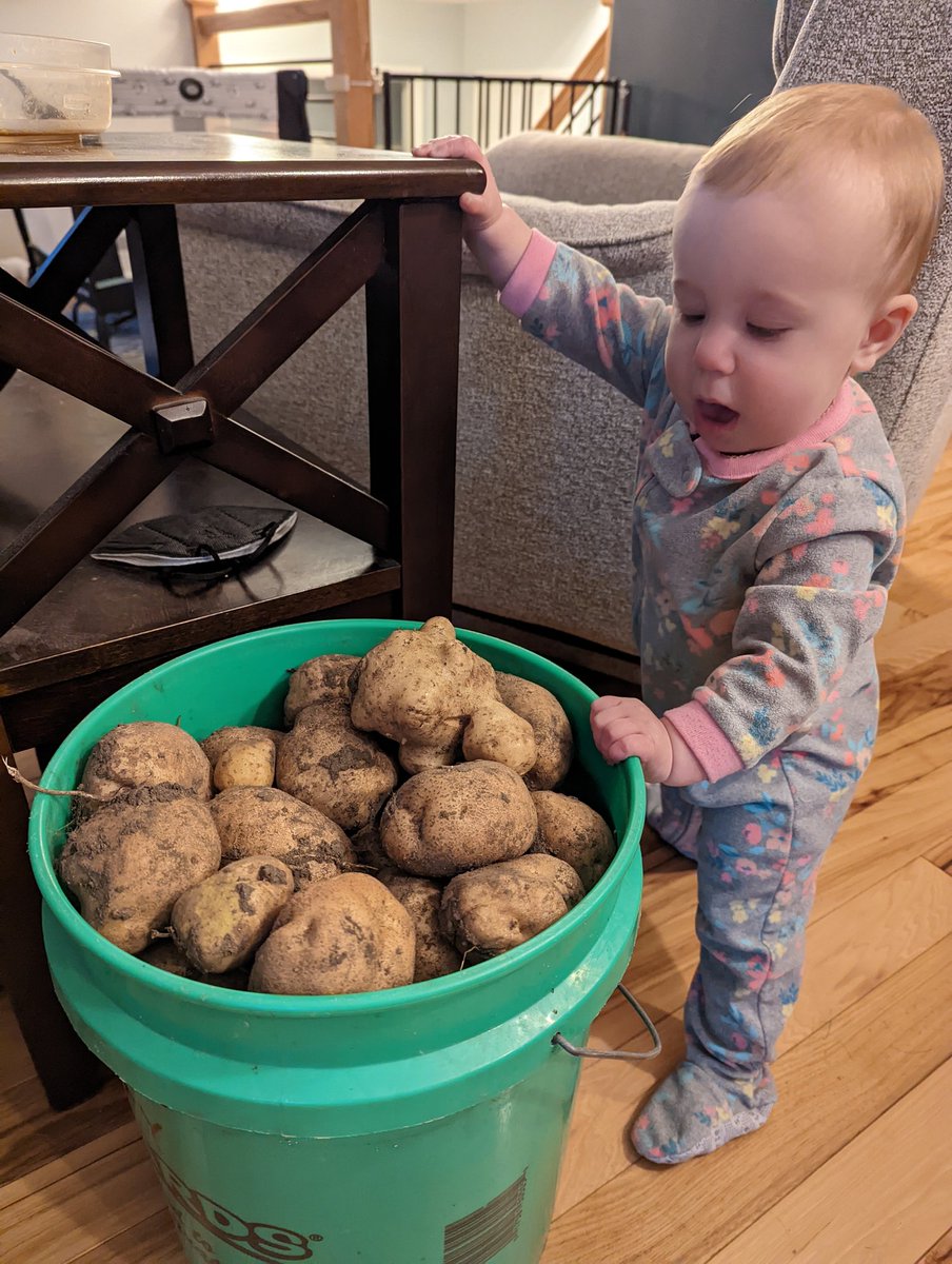 Minnesota local foods folks - does anyone know where I can find data on the number of community gardens in Minnesota?
