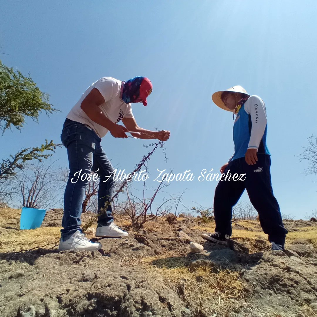 Alberto Zapata tweet media