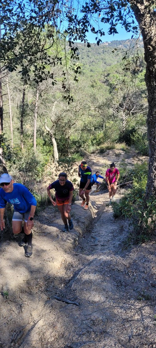 LaSansi's tweet photo. Ya tenemos atletas que vienen a Lloret de Mar a preparar la @lloretrail @acerkotelecom 

Hoy hemos tenido participantes de clubes como @jab_berga @lasansiclub @ca.canovelles @atletisme_lloret  @galluisosmataro 

#lloretrail #Lloretdemar #lloret #lasansi #atletismo #atletisme https://t.co/NXzroeQfjD