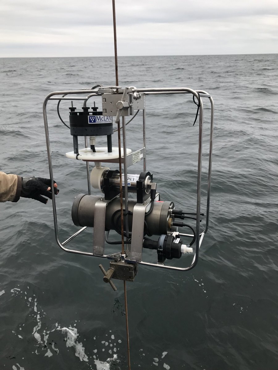 Robmazin2's tweet photo. Gulf of Maine near Nova Scotia on the RV Endeavor. Net tows yields lots of stuff. McLane pimps for particles &amp; trace metal clean rosette for water. Not a bad day at the office! ⁦@UConnMarineSci⁩ ⁦@NSF⁩ ⁦⁦@UConnResearch⁩ https://t.co/Wjj6syanbc