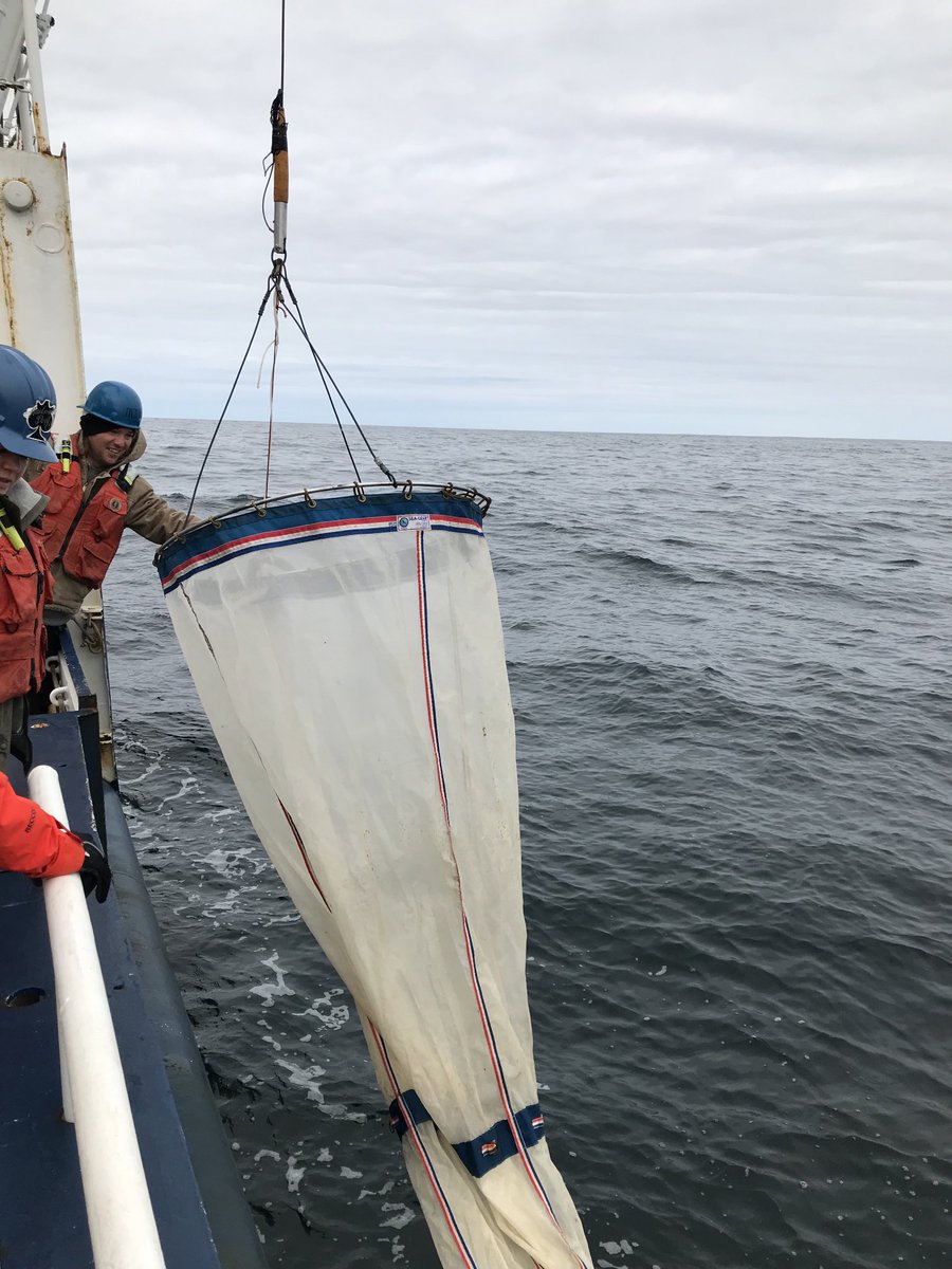 Gulf of Maine near Nova Scotia on the RV Endeavor. Net tows yields lots of stuff. McLane pimps for particles &amp; trace metal clean rosette for water. Not a bad day at the office! ⁦<a href="/UConnMarineSci/">UConn Marine Sciences</a>⁩ ⁦<a href="/NSF/">U.S. National Science Foundation</a>⁩ ⁦⁦<a href="/UConnResearch/">UConn Research</a>⁩