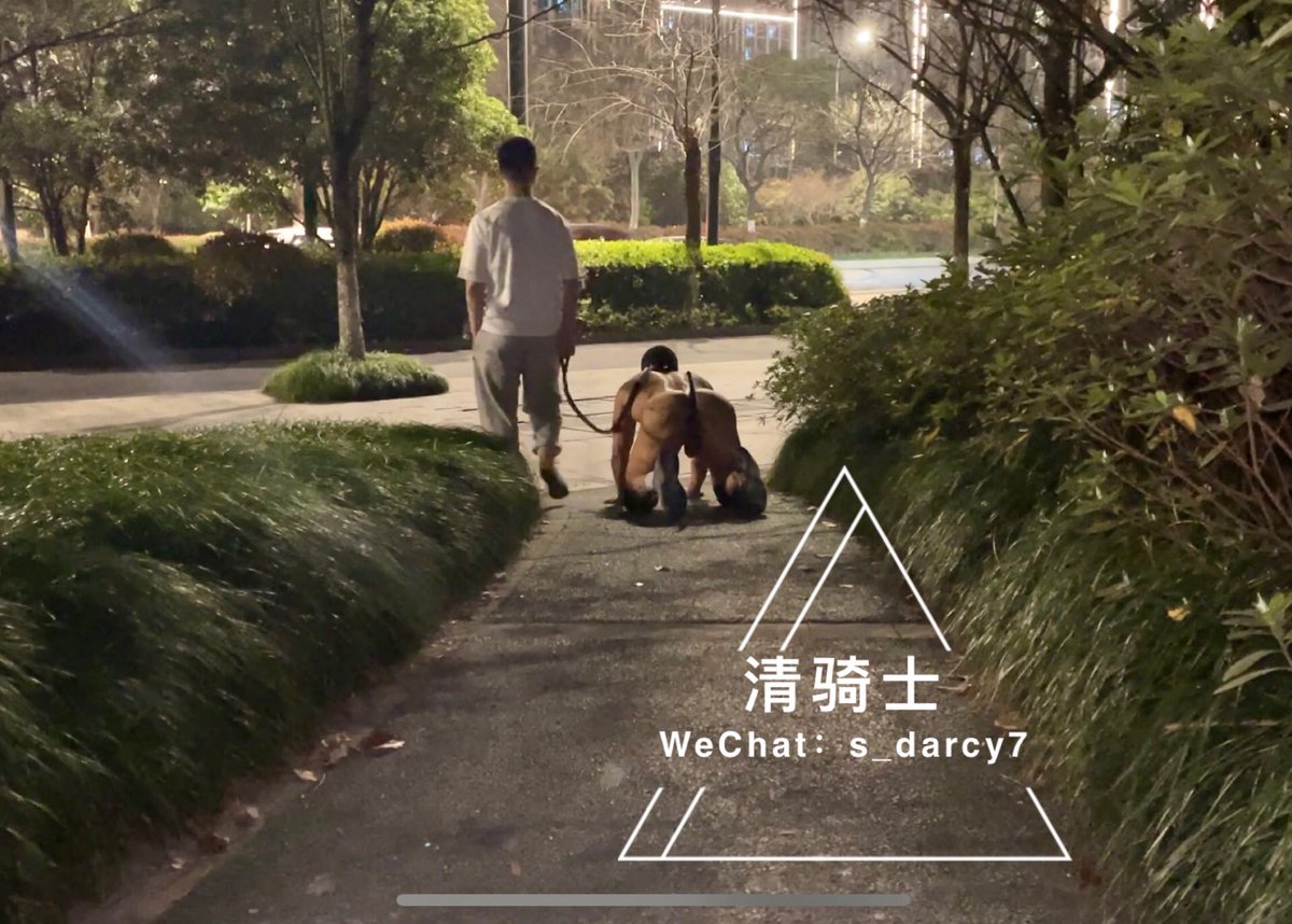 犬、商业泄欲器、行李、组合家具 https://t.co/nUX7ev2Y79