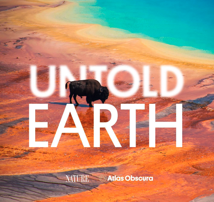 PBS Digital Studios tweet media