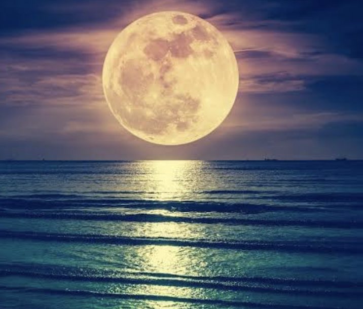 ms_tourist's tweet image. Sleep is elusive … She is wrecking havoc already …#FullMoonVibes