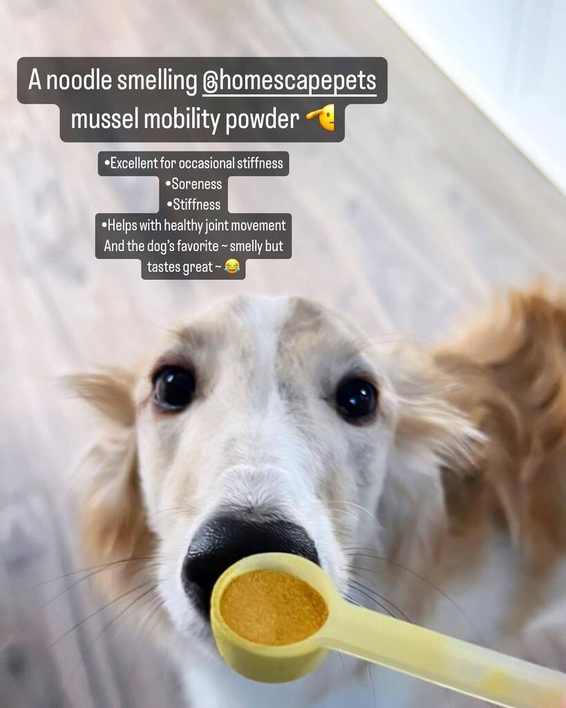 Homescape Pets tweet media