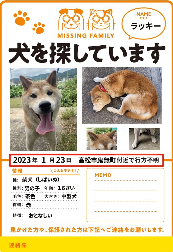 hirotan_358's tweet photo. 【捜索】愛犬ラッキー（柴犬・16歳・オス）が1/24未明に香川県高松市鬼無町で逸走。赤い首輪着用、迷子札なし。てんかん持ち。保健所・警察に届け出済み。昨日ポスターを見た方から情報あり。本日確認予定。見かけた方はDMか #ラッキー捜索 までお願いします。 https://t.co/5C7qIf4MDY