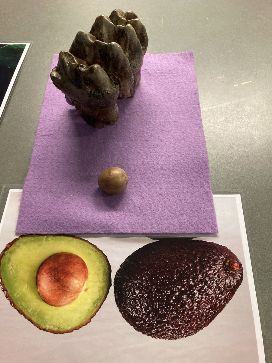 Alexis McBride tweet media