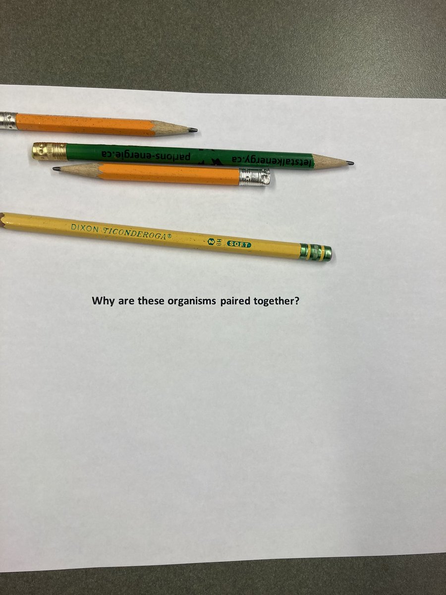 Alexis McBride tweet media