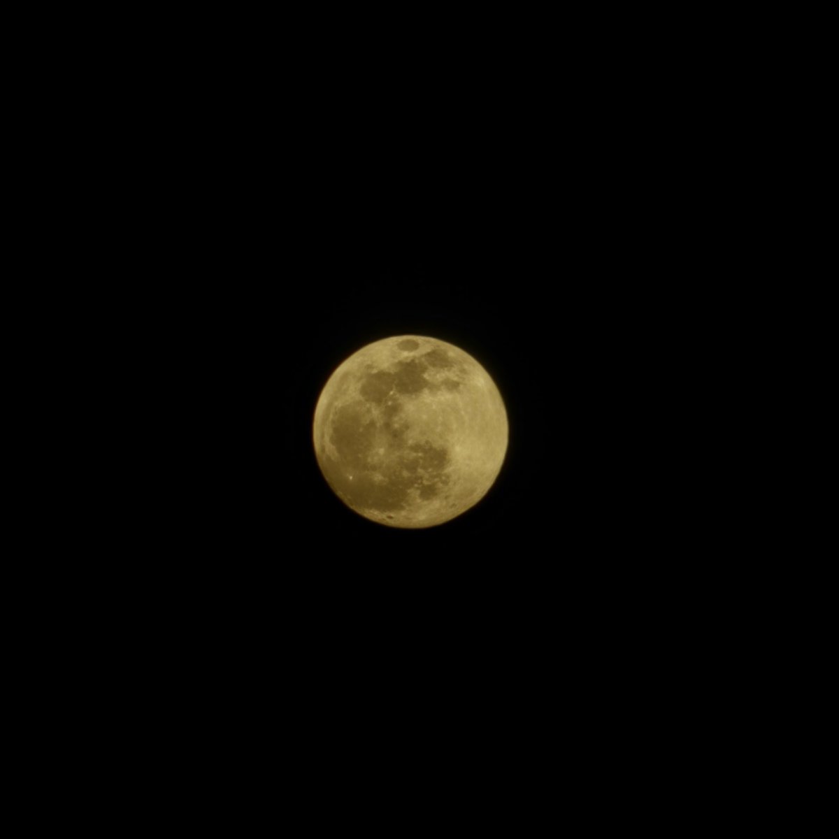 ihsanmlc's tweet photo. Bu akşam, sırasıyla;
10x Zoom
30x Zoom
100x Zoom..
#23ultra 👌
Tekrar teşekkürler 🙏 @SamsungTurkiye https://t.co/ZptSG7xORj