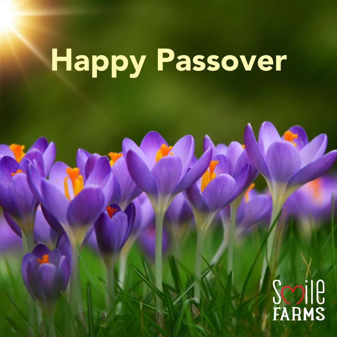 Have a joyous Passover! 🌱😊
#SmileFarms #Passover