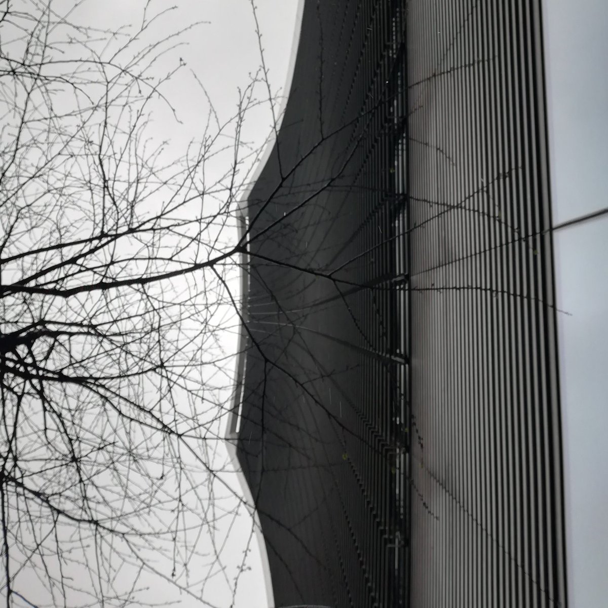 Sky Garden