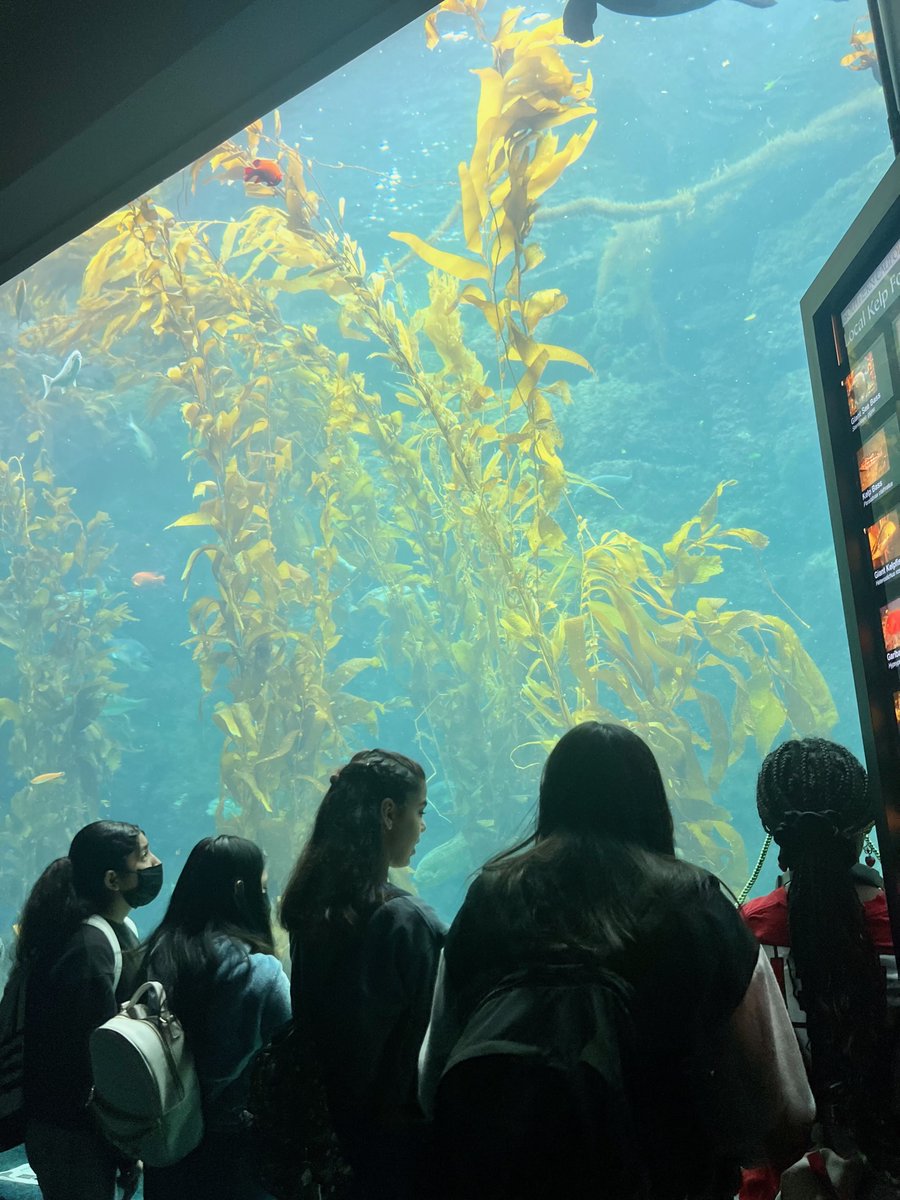 OceanConnectors's tweet image. Our new 7th grade field trip to @birchaquarium at Scripps features shark labs for students to explore why leopard sharks summer in San Diego. Thank you to Birch for donating the admissions and lab experiences for all students!