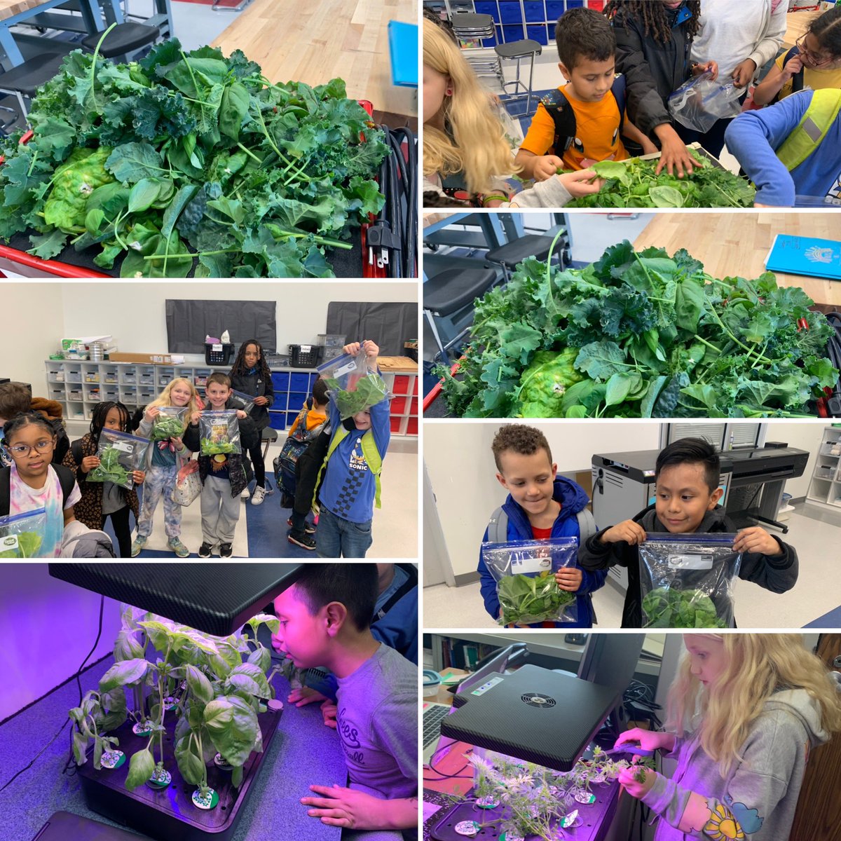 What’s all this fresh greens when it’s too early to plant outside? It’s our kids learning about the farming of the future- Today! #hydroponics #engineeringthefuture #IC2324 @GreenOurPlanet2