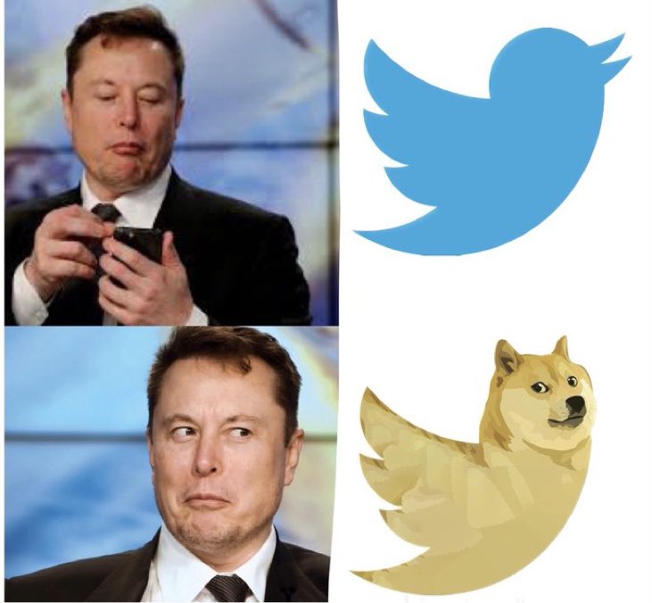 Crypto Daily Trade Signals tweet media