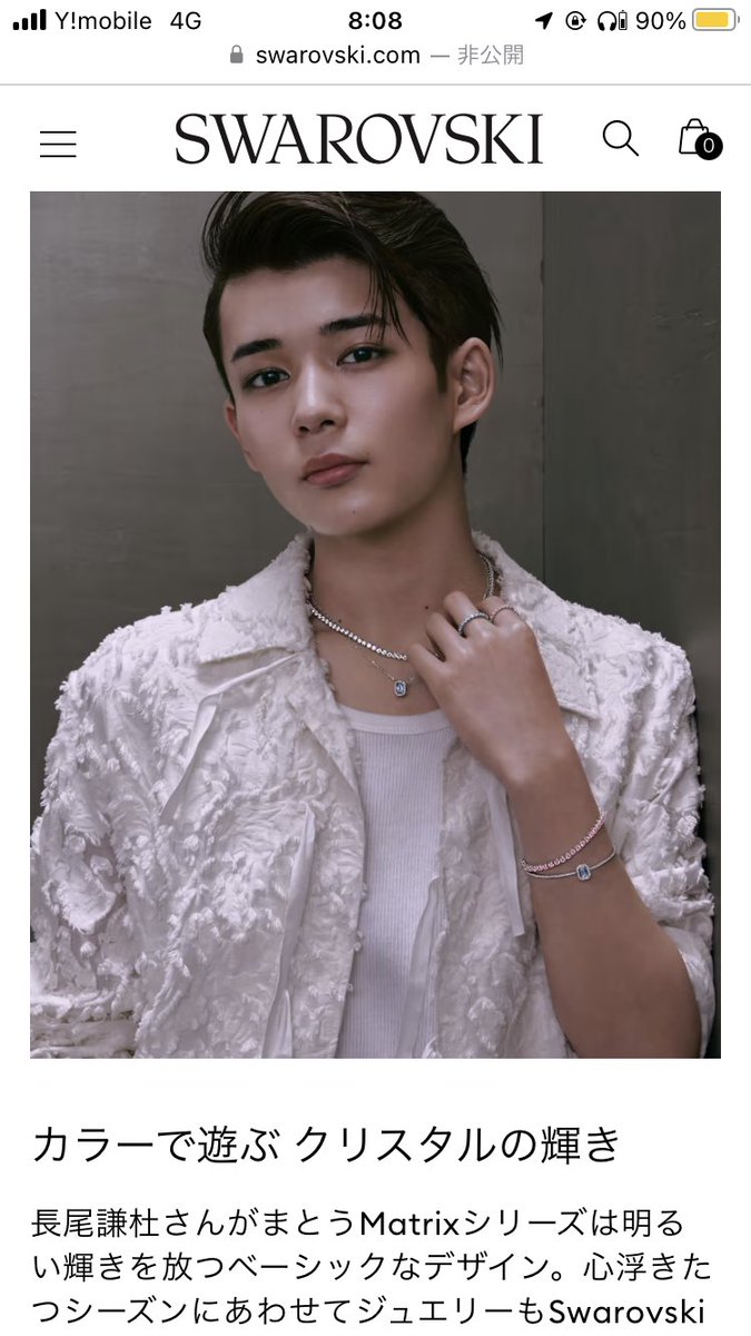 スワロフスキーの公式に昨日見た時見当たらなかったけど今日見たら更新