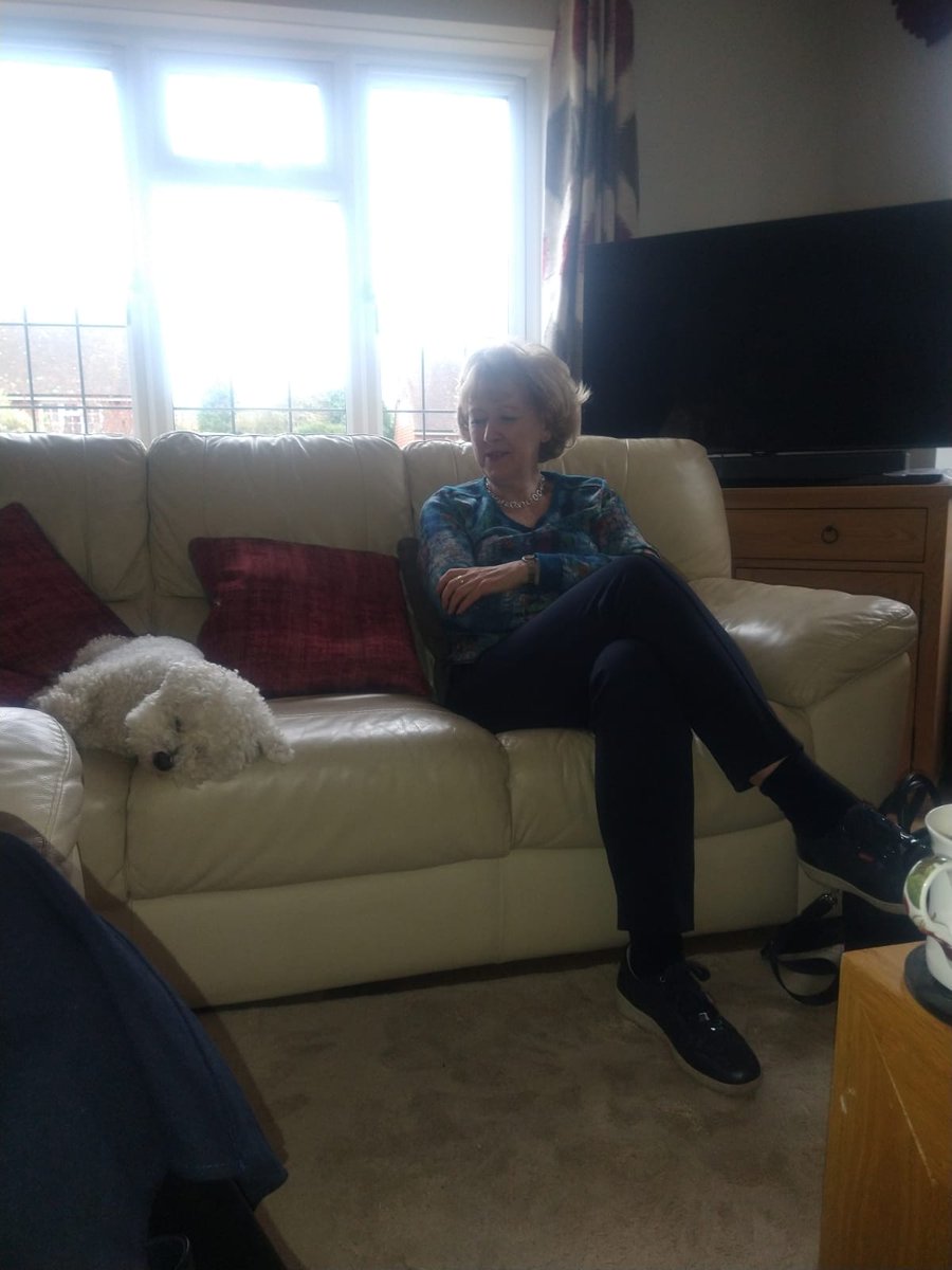 PetsofTWBC's tweet photo. Between campaigning, it's important to rest and recharge! Come on Bertie the Bichon, you've had enough sleep. Time to get back on the road! https://t.co/IeK55Xhwaw