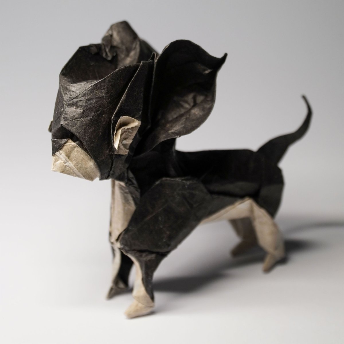 mayuncchigami's tweet photo. "Chihuahua" by Hiroaki Kobayashi.
Uncut square piece of double-tissue paper, 27x27cm.
First fold.
:)

https://t.co/4M69RjKi1k

#折り紙 #종이접기 #origami #papiroflexia #animal #dog #chihuahua #cute #adorable #tiny #wholesome #friend #companion https://t.co/xoDY1oLsmd