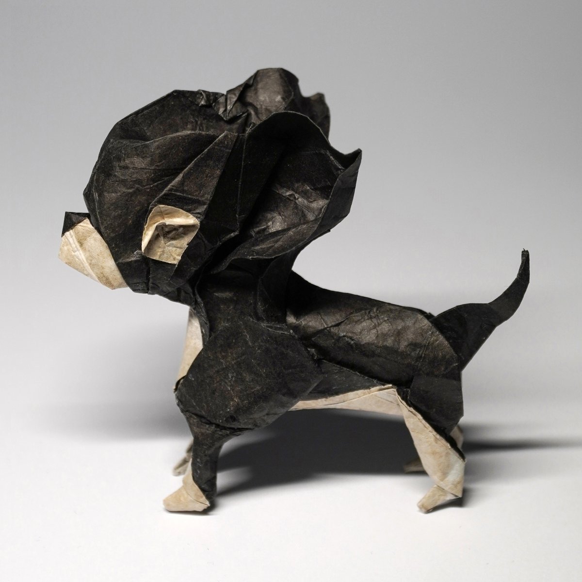 mayuncchigami's tweet photo. "Chihuahua" by Hiroaki Kobayashi.
Uncut square piece of double-tissue paper, 27x27cm.
First fold.
:)

https://t.co/4M69RjKi1k

#折り紙 #종이접기 #origami #papiroflexia #animal #dog #chihuahua #cute #adorable #tiny #wholesome #friend #companion https://t.co/xoDY1oLsmd
