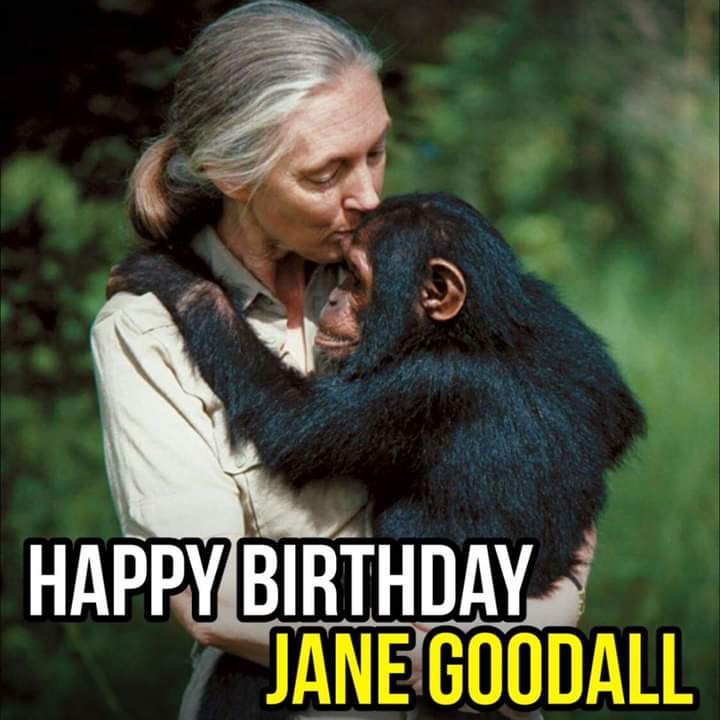Happy Birthday Jane Goodall 89  