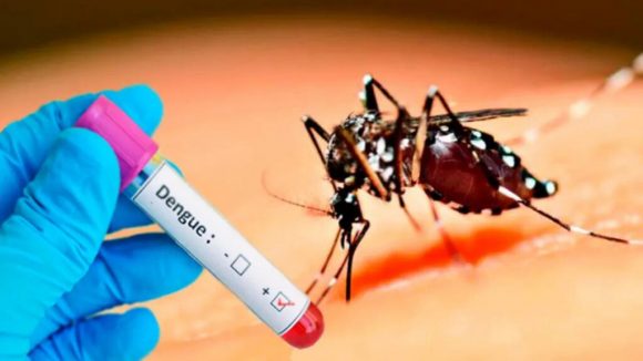 Equipo8DeEnero's tweet photo. El #candidato #vacunal contra el #dengue se encuentra en etapa de investigación-desarrollo. Los científicos #cubanos están iniciando los estudios preclínicos.
#CubaPorLaSalud #CubaPorLaVida #MejorSinBloqueo https://t.co/uJwZVtwIiC