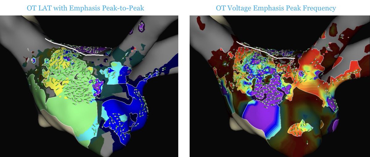 EP Orlando tweet media