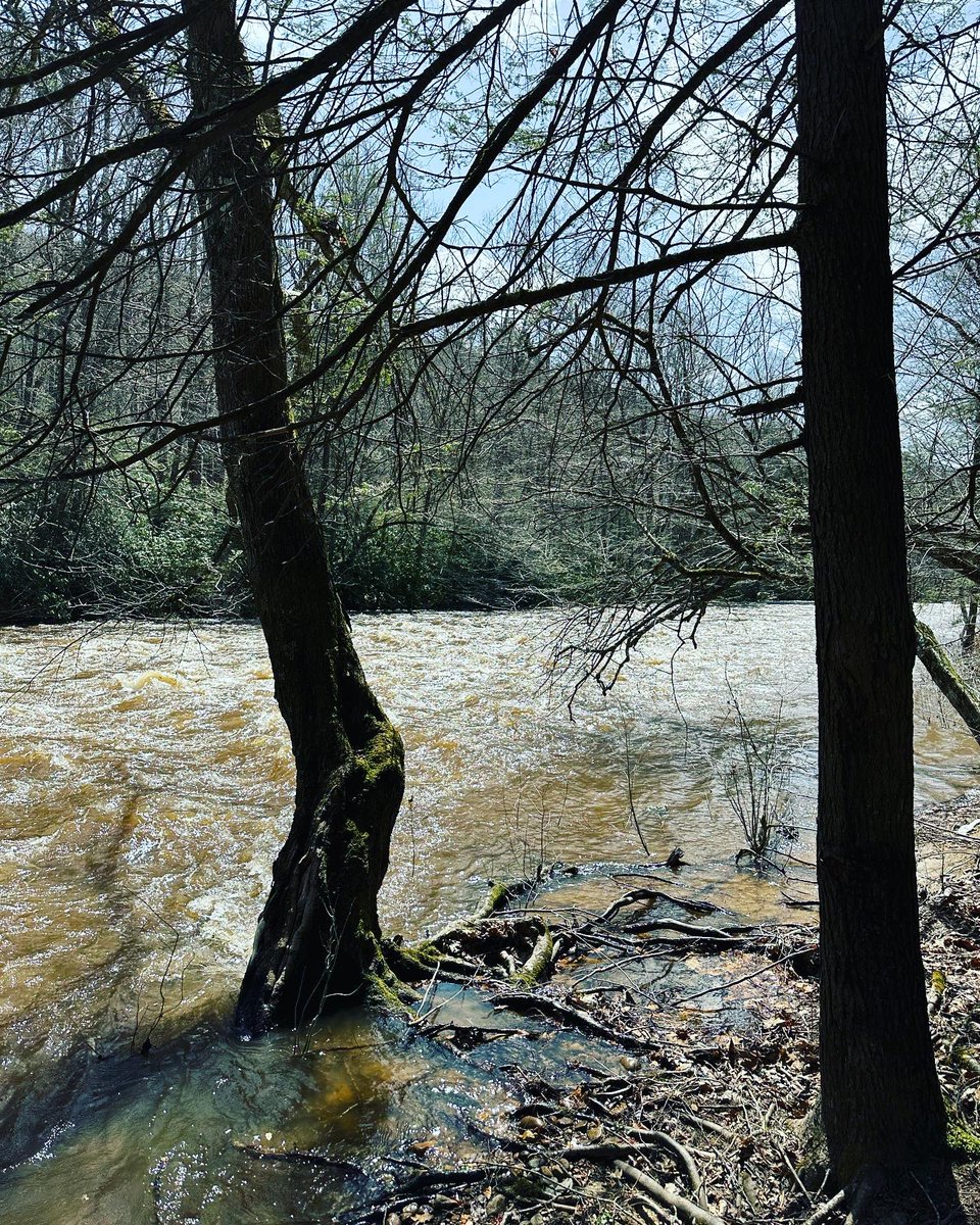 Went camping this weekend. It was so nice to get away ⛺️💚🐾