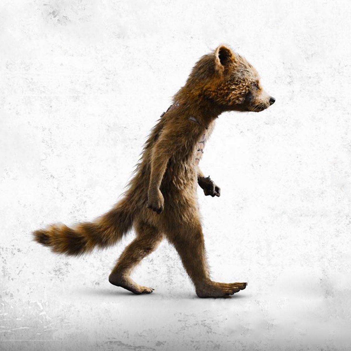 MCU The Direct on Twitter "Rocket's evolution More new official 