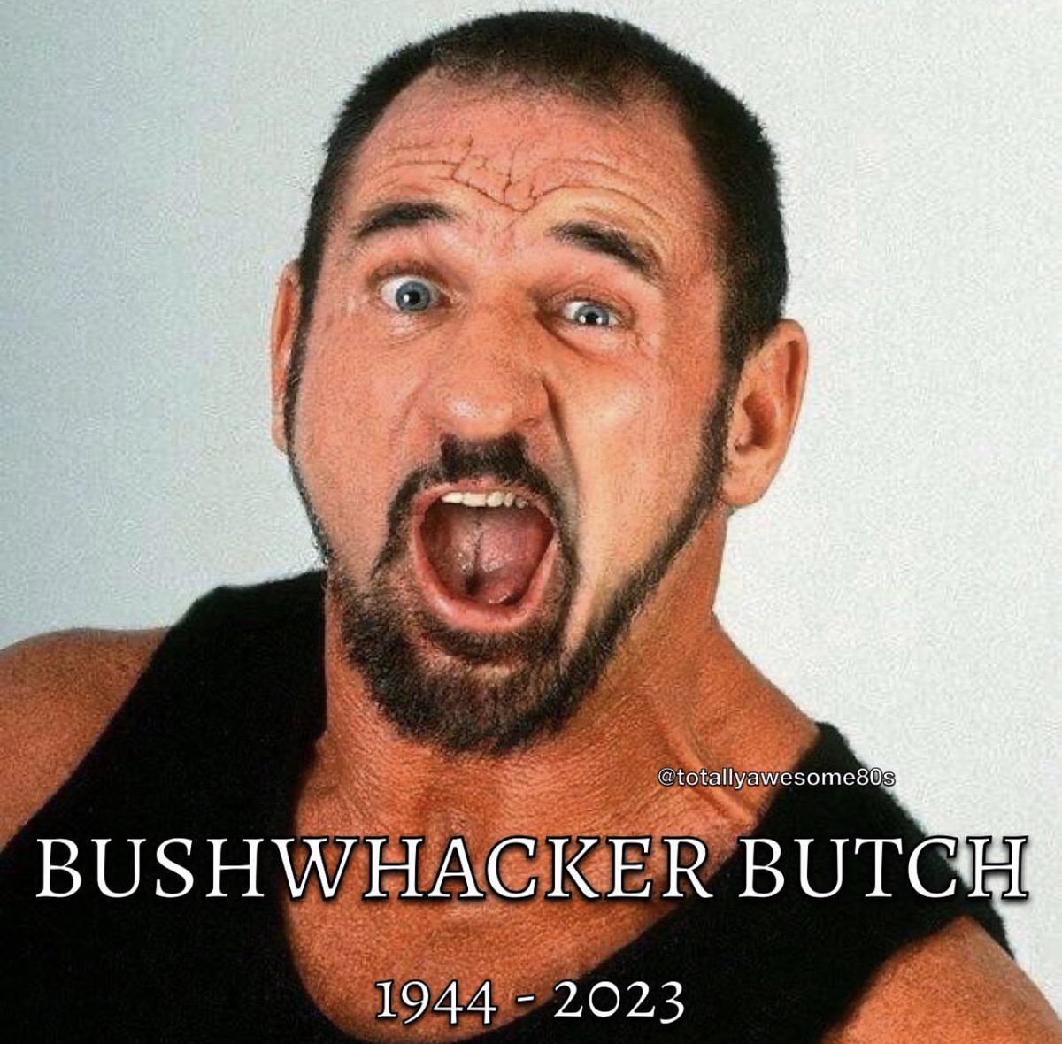 douglasisadope's tweet photo. #BushwhackerButch https://t.co/rqmrvyf9uB