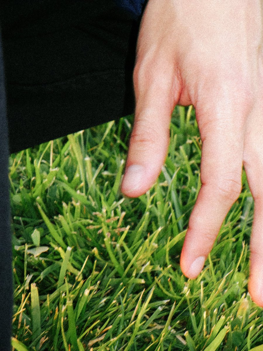 2dbert's tweet image. 