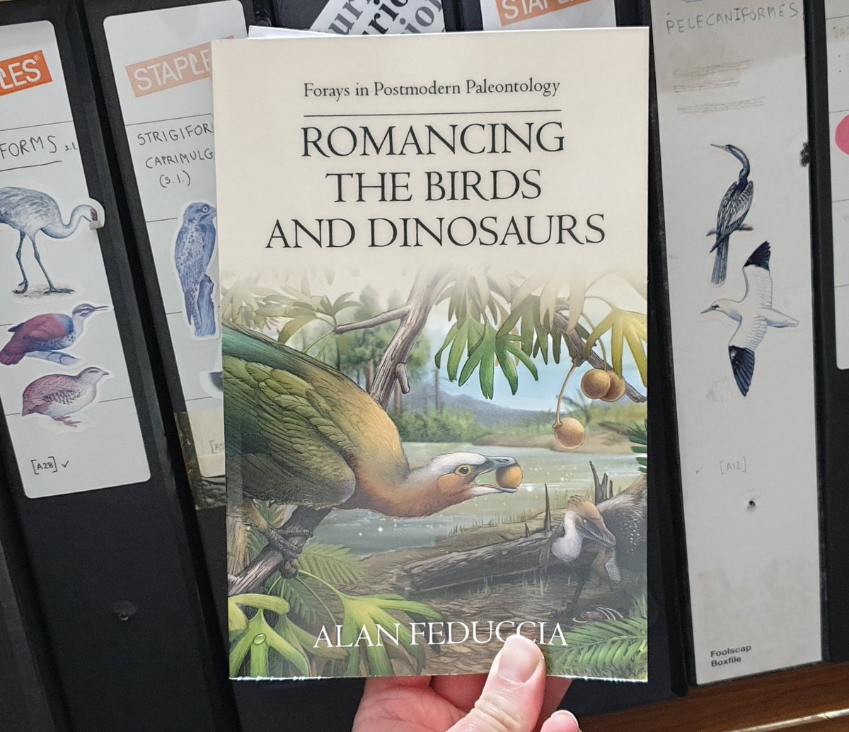 TetZoo's tweet photo. I'm reading Feduccia's Romancing the Birds &amp; Dinosaurs very slowly. Why? Because there's so much in it that's objectionable: where he's misframed or misinterpreted an issue, or been antiscientific. He's also misanthropic, heaping scorn upon those kids and their social media. https://t.co/qpgvCCuYnE
