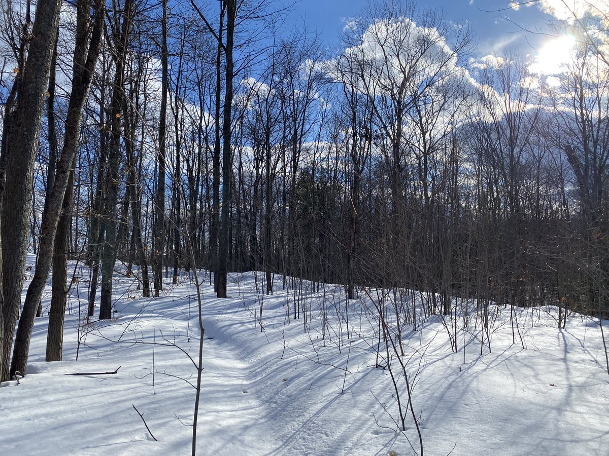 Love my backyard path #GetOutside #sunshine