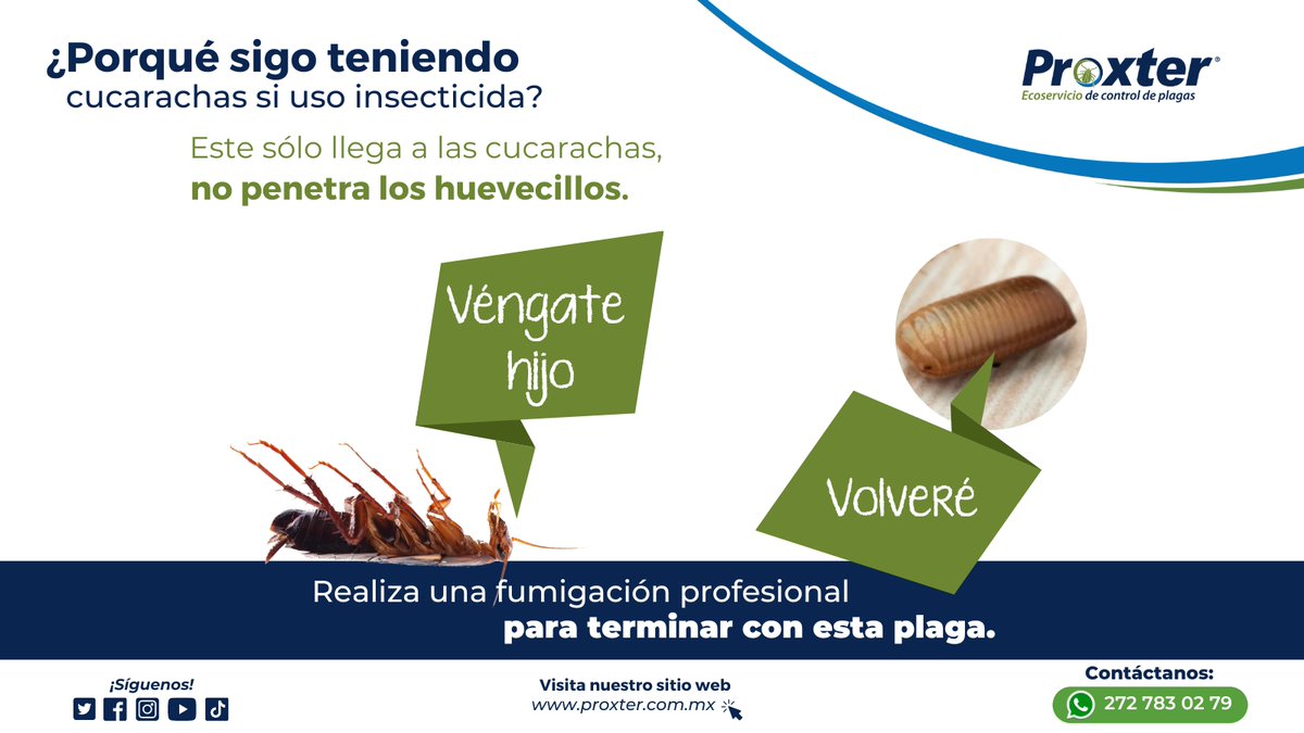 Proxter01's tweet photo. ¿Sabías que los huevecillos de las plagas pueden ser difíciles de detectar y eliminar? Confía en nuestros expertos en control de plagas para asegurarte de que no haya plagas en tu hogar.
#fumigaciones #plagas #proxter #veracruz https://t.co/p1BBOadqJo