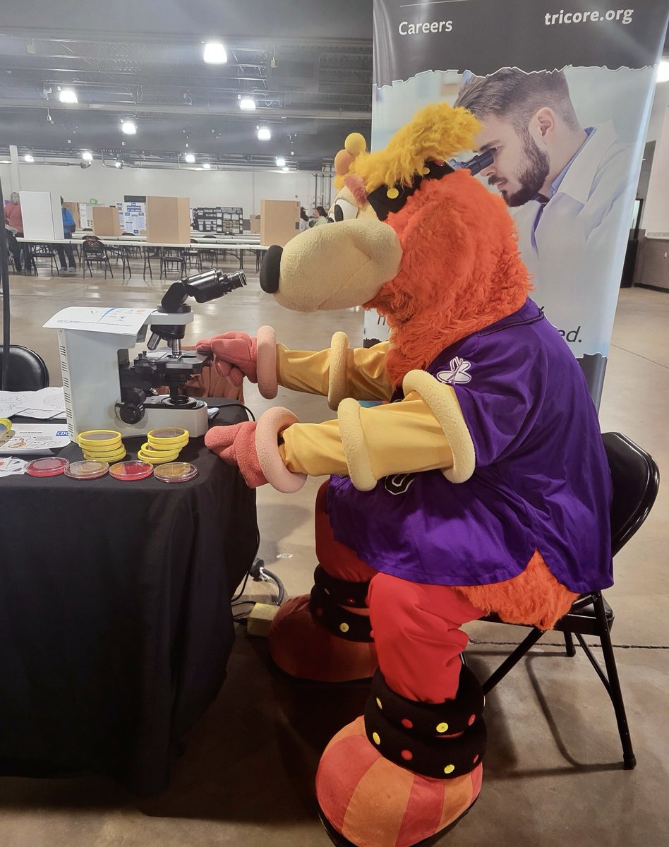 TriCore Laboratories (@tricorelabs) on Twitter photo Esperanza Samala, TriCore’s Education Coordinator, attended the Community Partners Showcase at Expo NM last month. Esperanza enjoyed sharing information about career opportunities in the lab science world. Even Orbit with <a href="/abqisotopes/">Albuquerque Isotopes</a> got in on the fun!
TriCore.org Esperanza Samala, TriCore’s Education Coordinator, attended the Community Partners Showcase at Expo NM last month. Esperanza enjoyed sharing information about career opportunities in the lab science world. Even Orbit with <a href="/abqisotopes/">Albuquerque Isotopes</a> got in on the fun!
TriCore.org