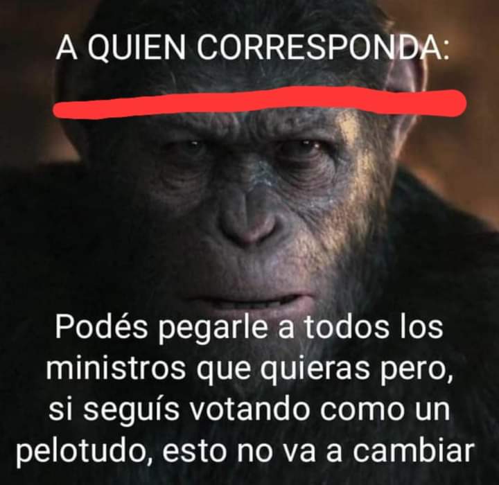 Totalmente claro. Este año es nuestra última oportunidad.