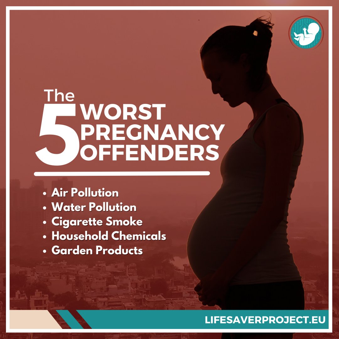 THE 5 WORST PREGNANCY OFFENDERS  Harmful toxins can be present in the air, water, the workplace or everyday products. Substances with the potential to harm can be breathed in, absorbed, or consumed by a pregnant woman. 

1/3