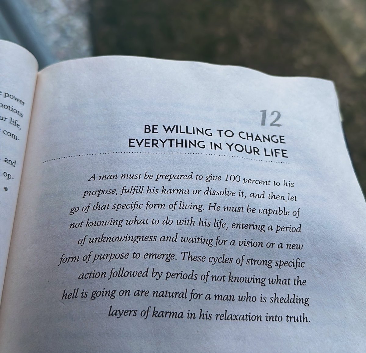 ⚡Thunderbird Labz⚡ tweet media