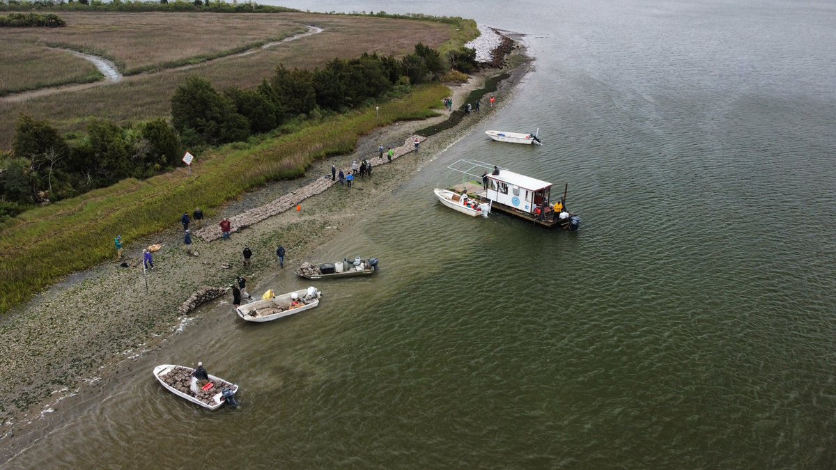 South Carolina Ports tweet media