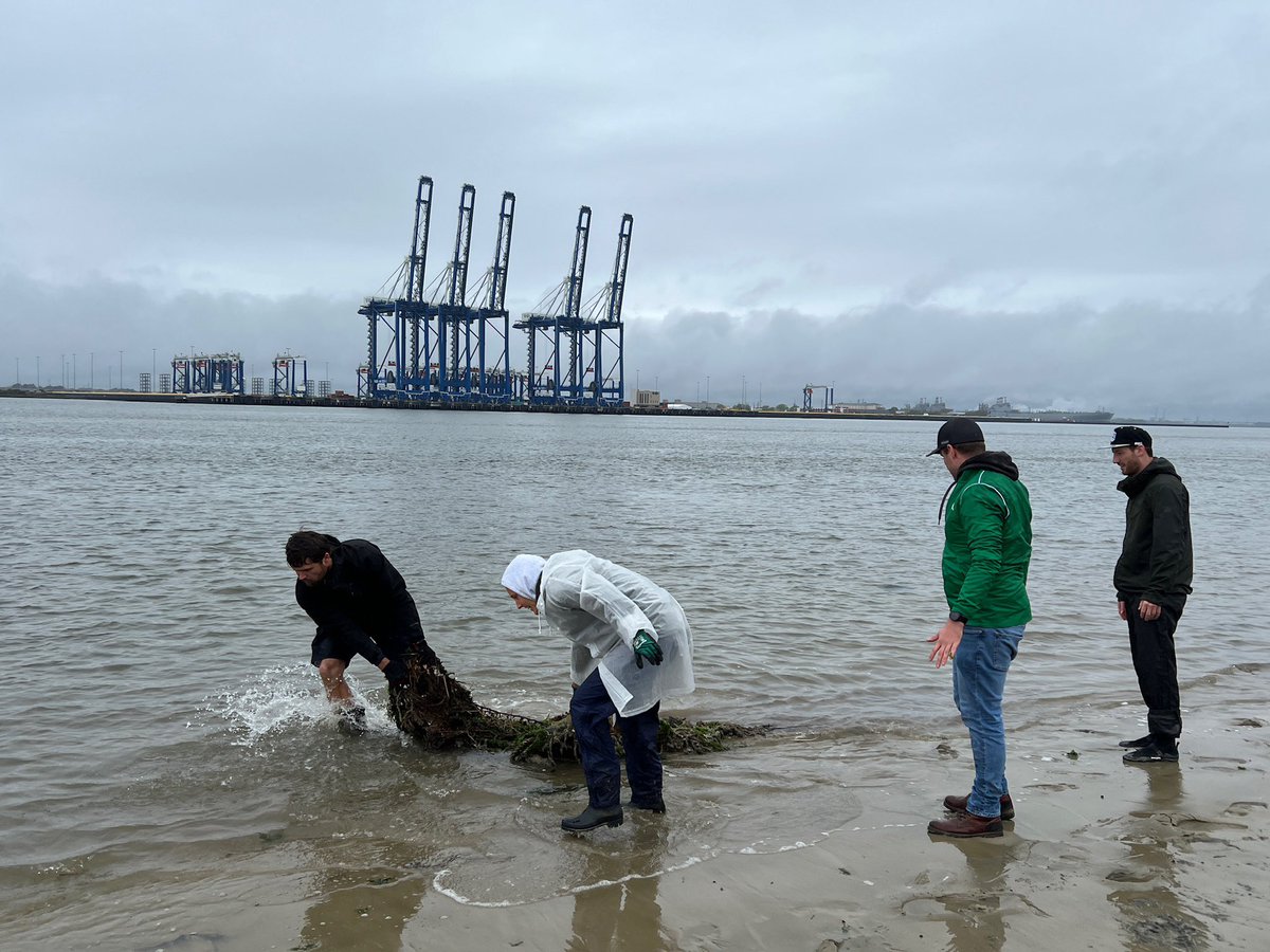 South Carolina Ports tweet media