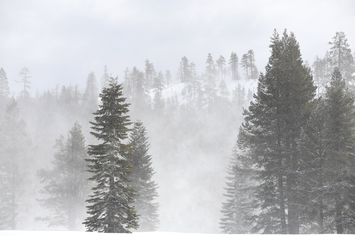 CA_DWR's tweet photo. California’s #snowpack is now one of the largest ever, bringing both drought relief and flooding concerns, however DWR’s State-Federal Flood Operations Center and DWR’s Snow Surveys and Water Supply Forecasting Unit are helping local agencies plan for the Spring snowmelt season. https://t.co/RzSozSDEtM