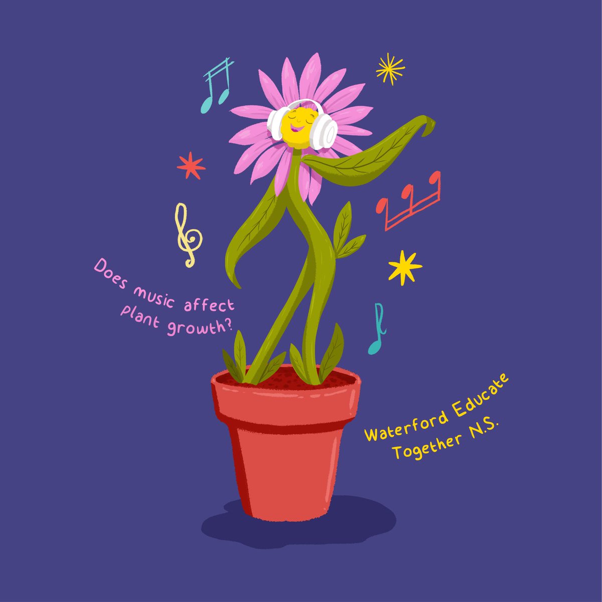 Minaw Collective tweet media