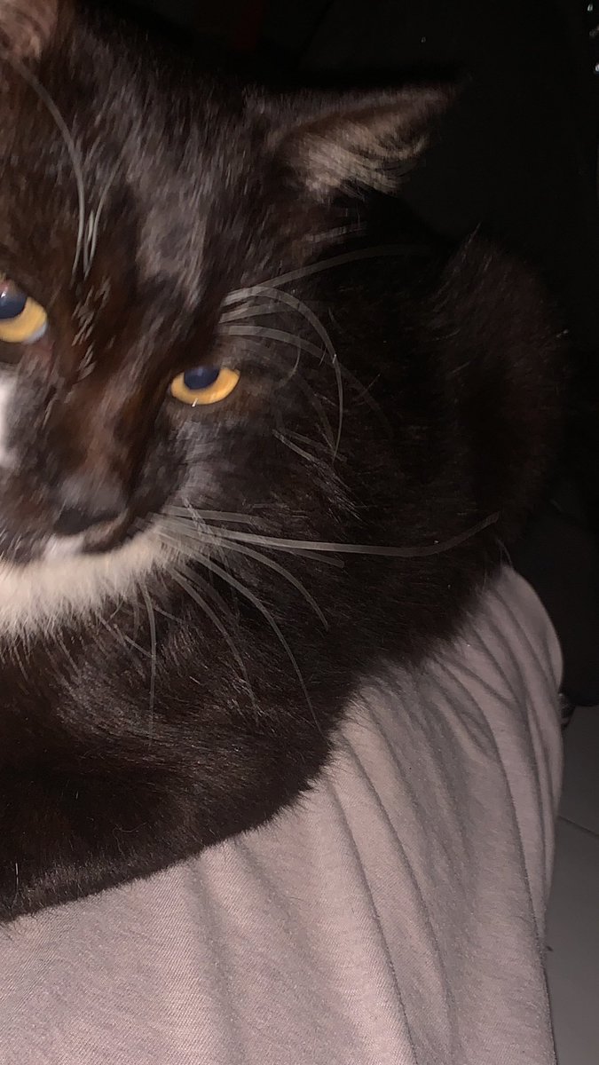 si suka lupa kalo sekarang dia udah berat banget