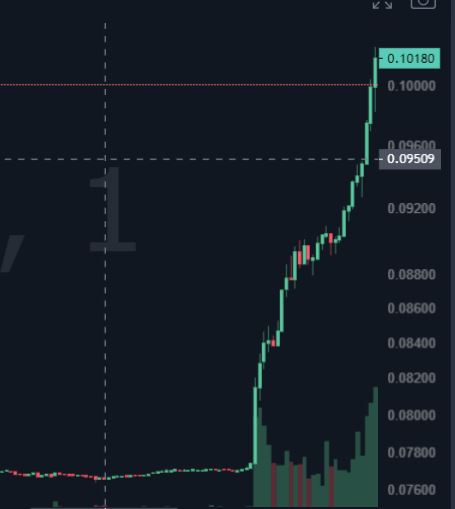 > They say Twitter is not profitable. 
Elon - Hold my beer