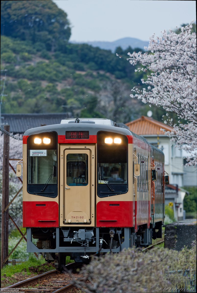 cso0's tweet photo. 23.04.02
#天竜浜名湖鉄道
#天竜浜名湖線
#天浜線
#鉄道
#第三セクター
#th2100
#th2101
#Re +
#湘南色
#国鉄一般気動車標準色
#th2102
⁡⁡⁡#キハ20 ⁡ ⁡#復刻塗装車両 ⁡
#天浜線さくらトレイン
#canon
#eosr3
#ef200400
#ef200400mmf4lisusm
#ef200400mmf4lisusmエクステンダ14
#my_EOS_photo https://t.co/RfyM3LNbgW