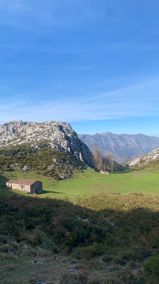 MariaRivas28's tweet photo. Somas ⛰️💚🏃🏽‍♀️ https://t.co/Bieup38FNY