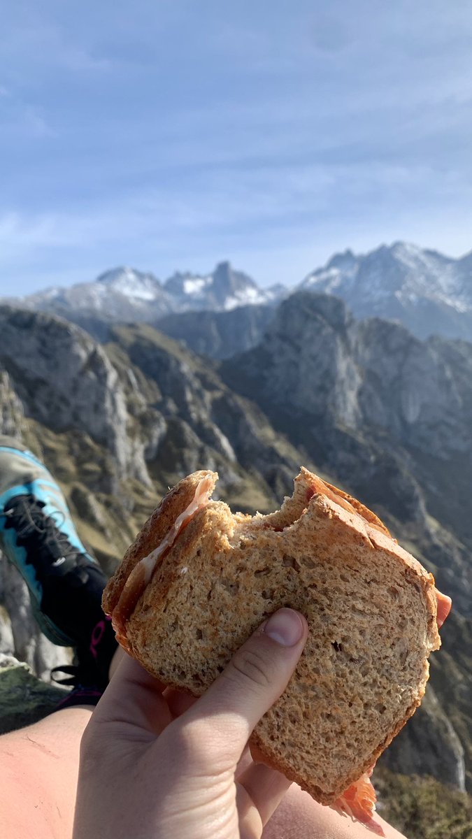 MariaRivas28's tweet photo. Somas ⛰️💚🏃🏽‍♀️ https://t.co/Bieup38FNY