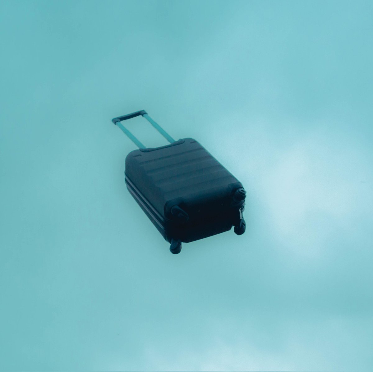 phasmephoto's tweet image. Hé les photographes, si une de vos photos devrait être une pochette d&apos;album ça serait laquelle/lesquelles ?

Perso ça se tape entre les 4 jsp pourquoi 🤷