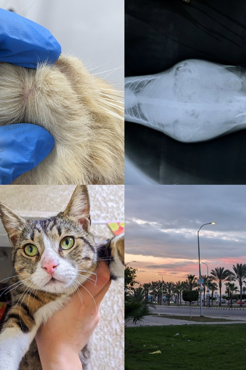 يوم رمضاني جميل