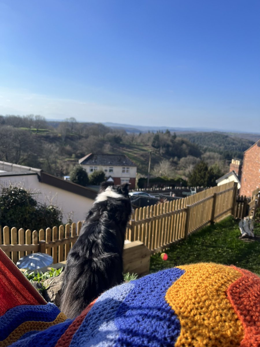 Tracy Clark (@tracyclarkyg) on Twitter photo 