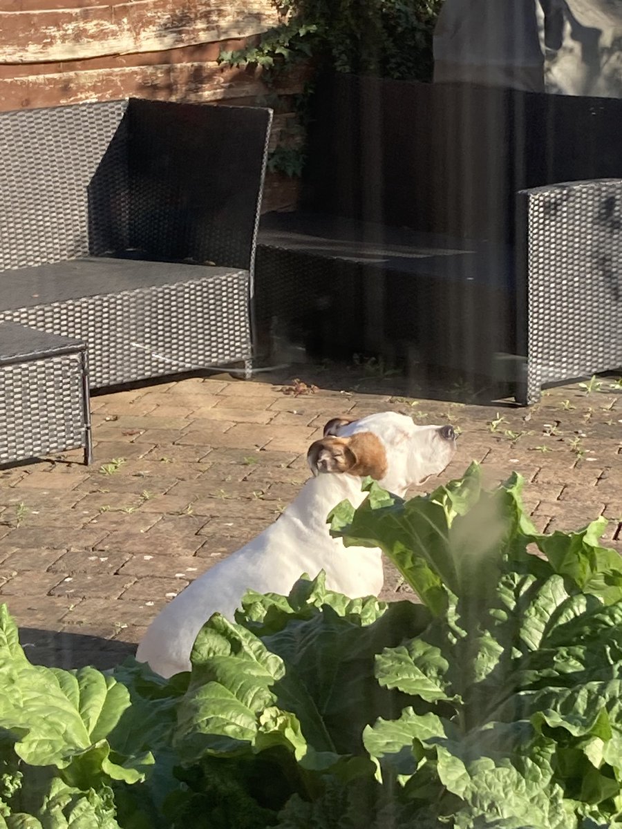 Look at his little face. 💙